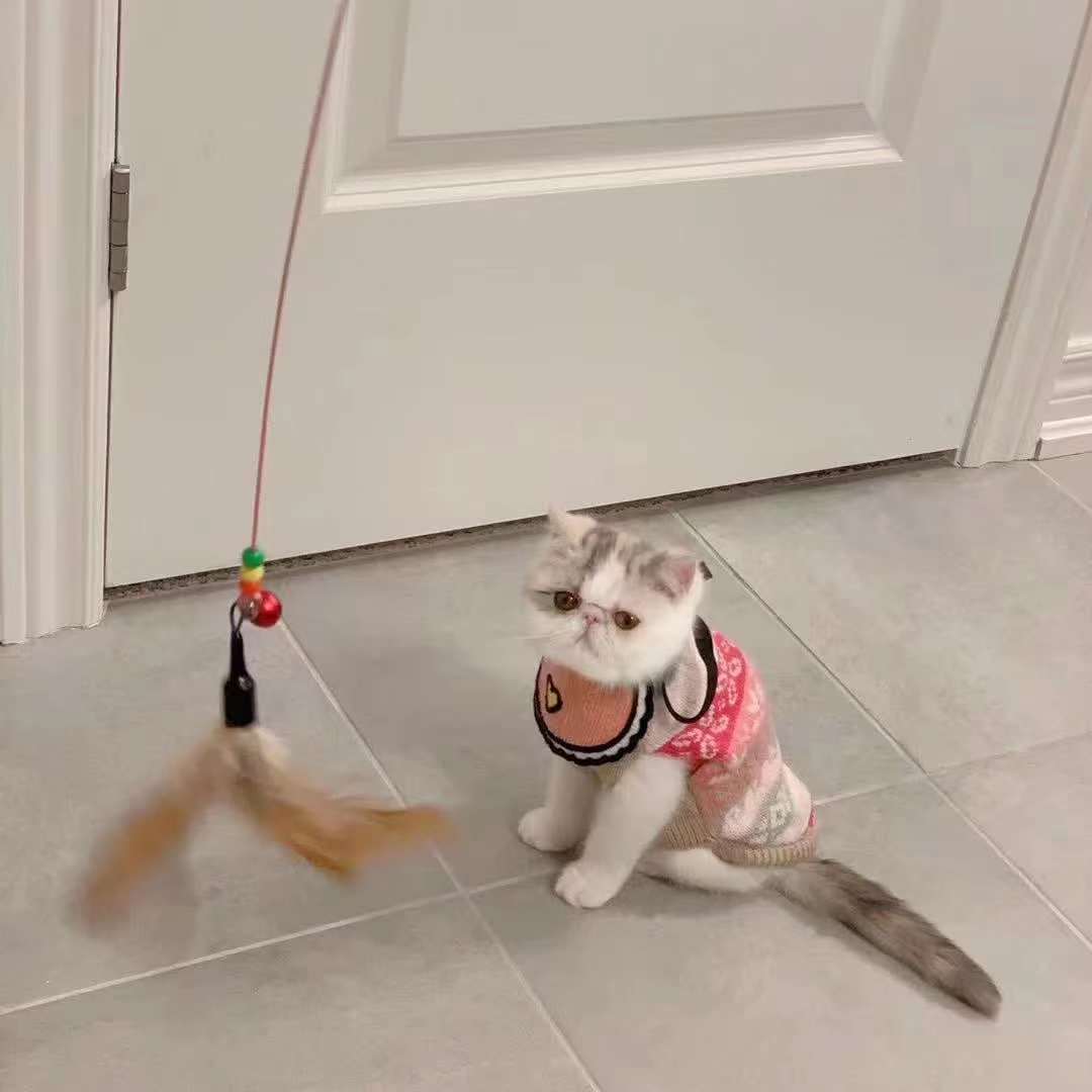 16259713-59EC-4872-96EA-39F37BCACE99